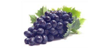 Виноград Изабелла спелая гроздь фото
