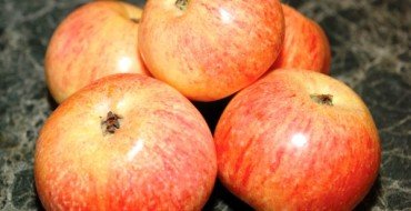 Яблоня Конфетное, фото плодов