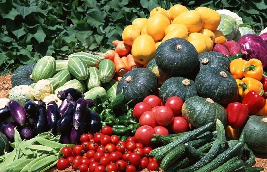 Инструкция По Обработке Зелени И Овощей