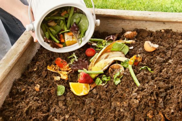 Добавление в компостную яму отходов овощей и фруктов