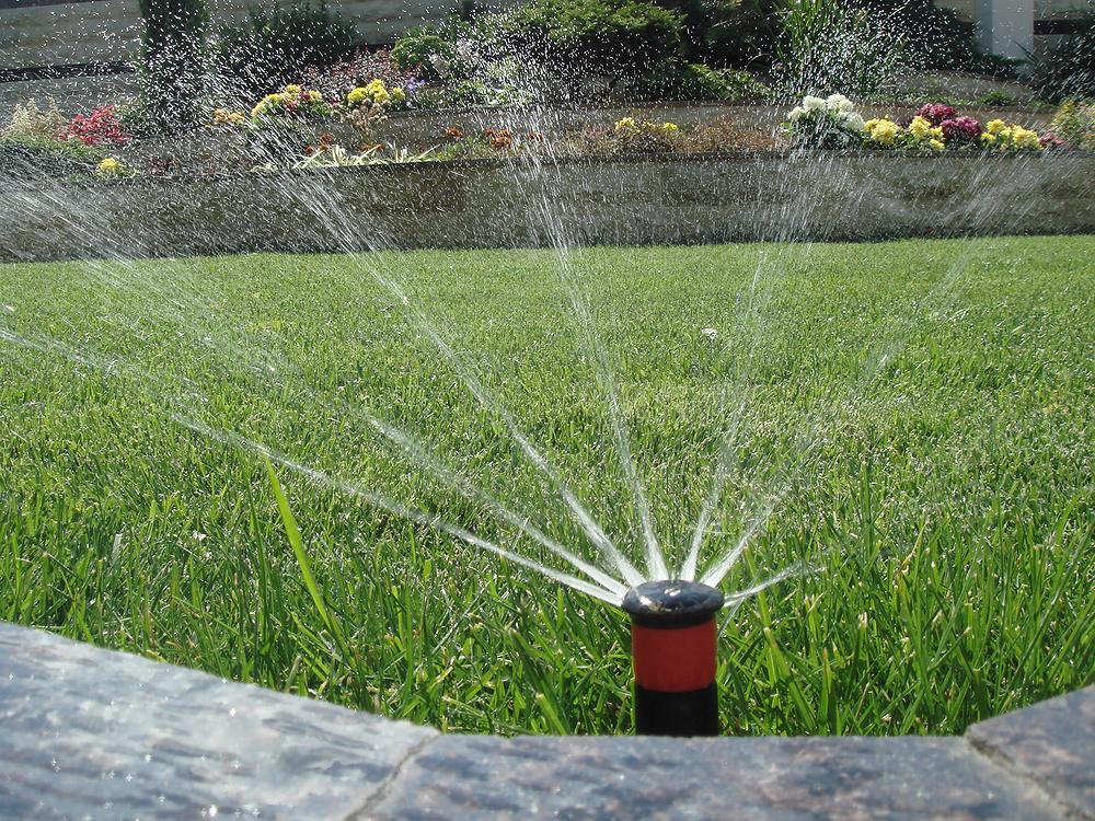 Дождевание – лучший метод полива газонов