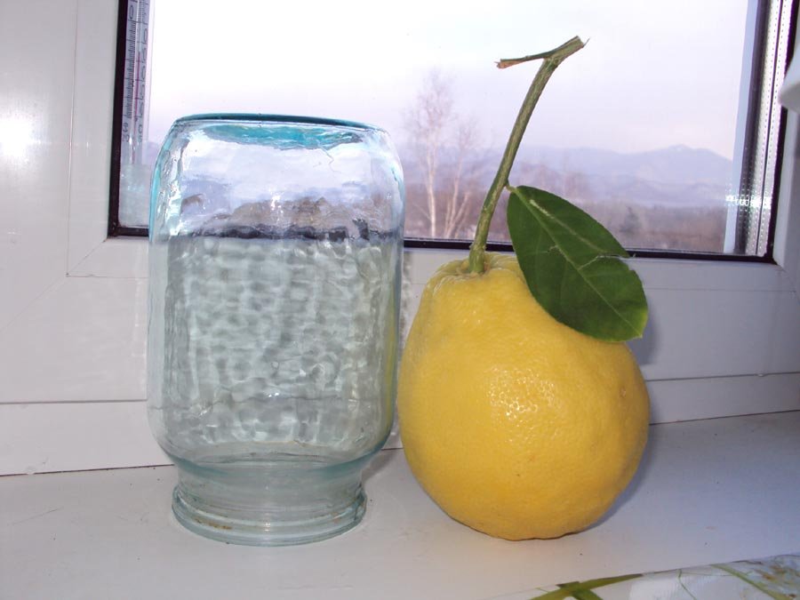Плод лимона Пандероза фото