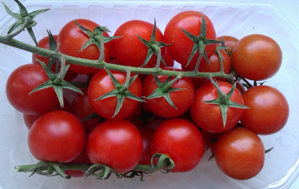 Великолепный высокоурожайный гибрид томата Ажур