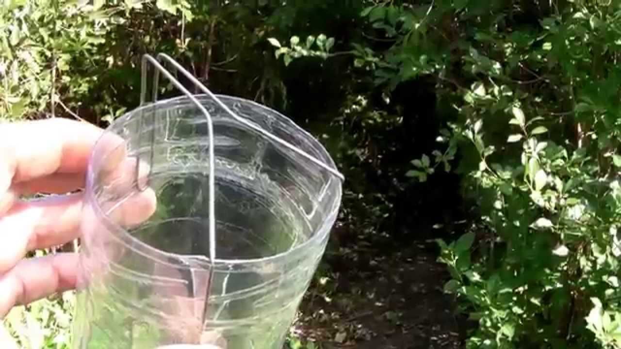Устройство для сбора вишен из пластиковой бутылки