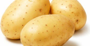 Сорт картофеля Гала на фото