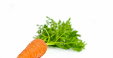 Морковь с хвостиком на фото