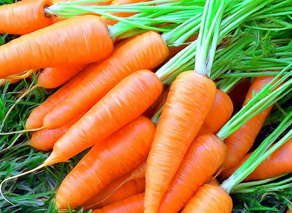 Несколько способов как хранить морковь
