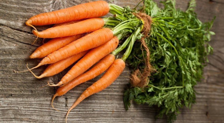 Правила выращивания моркови и ухода в открытом грунте
