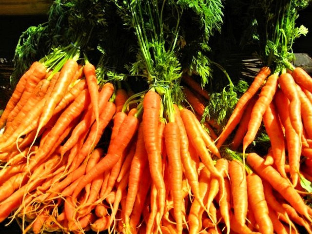 Морковь сорта барыня на фото