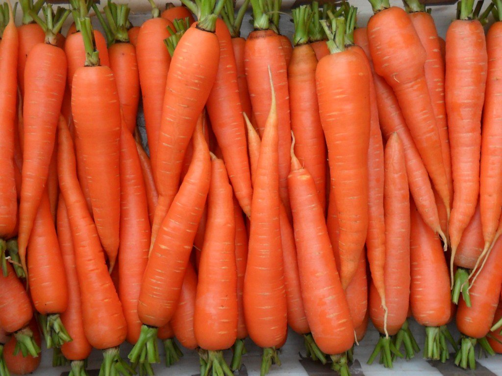 Спелая и красивая морковка