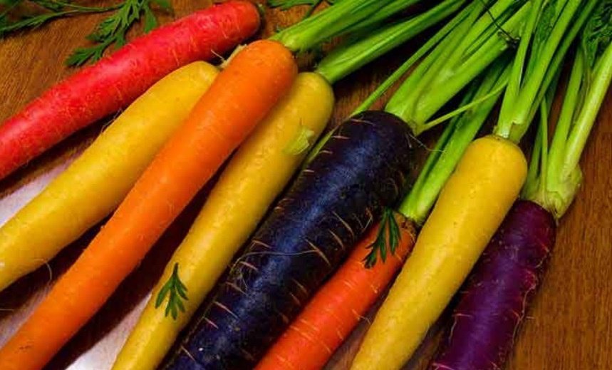 Морковь - лучший сосед для капусты