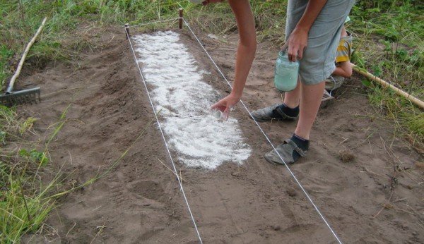Суперфосфатом улучшают состояние почвы