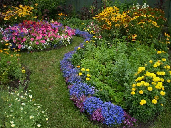 Самые красивые схемы посадки цветов от садоводов. Особенности планировки и выбора растений (фото + видео)