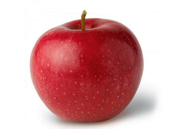 Внешний вид раннелетнего яблока Елена