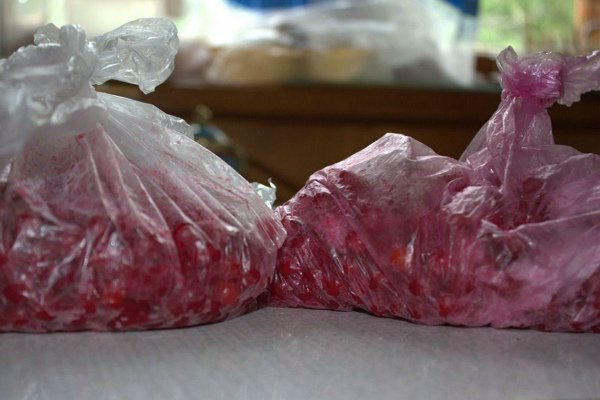 Замороженные ягоды калины в пакетах