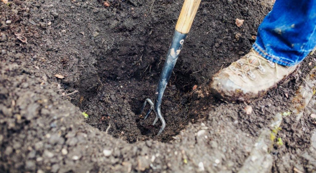 Подготовленная почва для посади