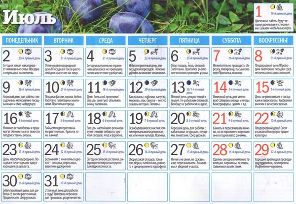 Лунный календарь огородника на июль 2018
